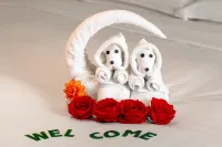 Harriway Garden Hotel Dongguan Houjie - 5-Star