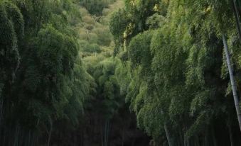 Pengzhou Wusuoshishi Homestay