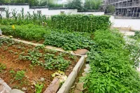 Huangshan Yuyi Mountain Residence 황산 호텔