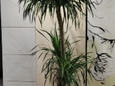 Youxian WestinHotel Hotels in You County