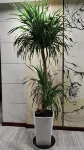 Youxian WestinHotel