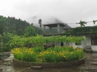 泰宁雨雾半山养生山庄