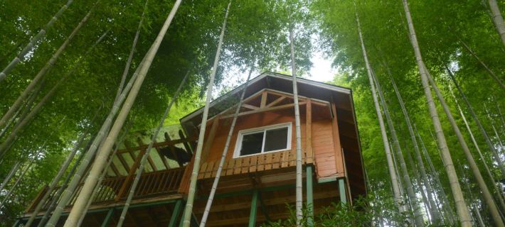 Rafting Resort Guesthouse Hotel a Rucheng