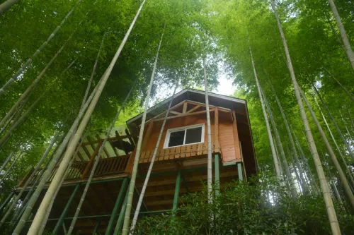 Rafting Resort Guesthouse