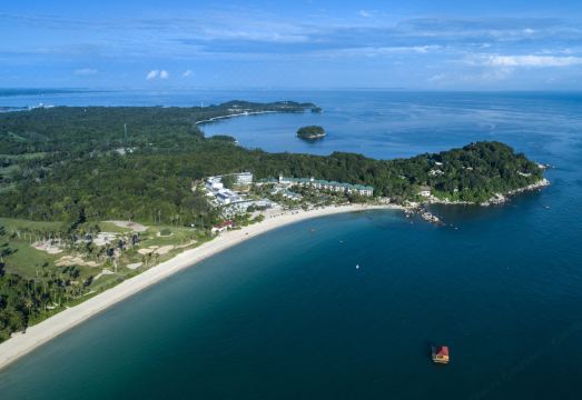 카시아 빈탄 대표 이미지