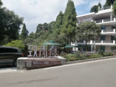 TO YOUNG INN