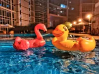 New World Wuhan Hotel - Pools