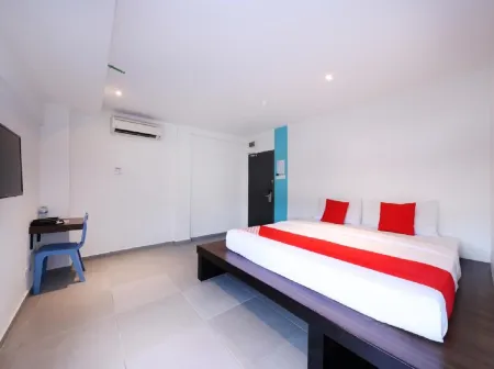 Super OYO 246 Link Inn