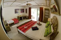 Dolphin House Resort Moalboal - Balkoner
