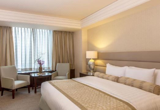 5. 크림슨 호텔 필..