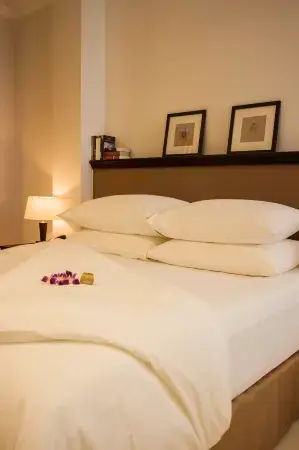 The Alcove Library Hotel