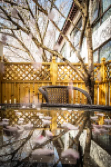 無錫櫻花山荘（太湖黿頭渚景勝地） 黿頭渚周辺のホテル