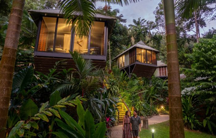 Daintree Eco Lodge