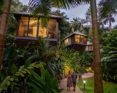Daintree Eco Lodge Hotels in Daintree