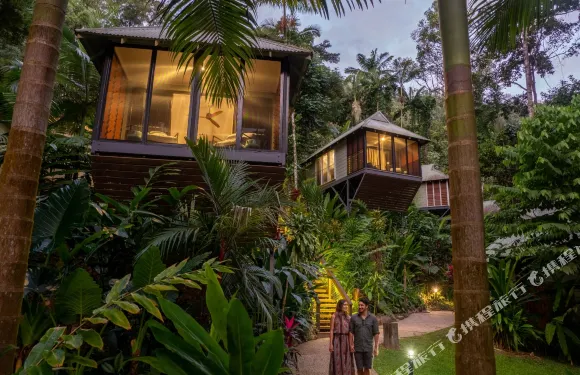 戴因樹雨林生態旅館