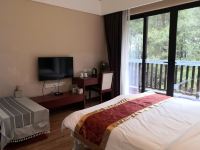 重庆养生避暑之家酒店式公寓 - 舒适度假一室一厅套房