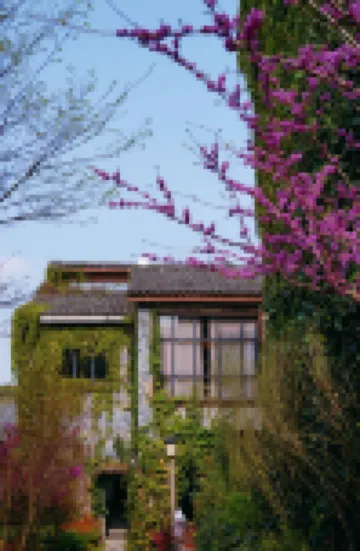 Dibei Wellness Hotel