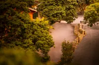 廣州積木物語·斑斕露營基地