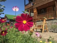 허무 투와주 호텔 허무촌 허무 성공 야영지 주변 호텔