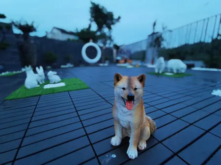 Longzhimeng Lake Mengju Villa Homestay Отели рядом с достопримечательностью «Taihu Lake Longemont Paradise»