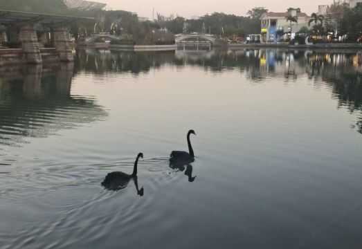 Xinxin Homestay (Dameisha Subway Station Branch)