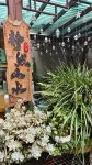 Jingran Landscape Guesthouse