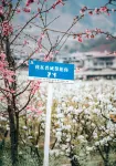 Miyi Hongrun Farmhouse