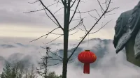 Wudang Mountain Above the Clouds Homestay - New