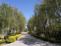 淄博翠林园大酒店 - 花园