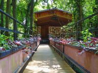 九州驿站(英德天门沟驿站树屋村) - 公共区域