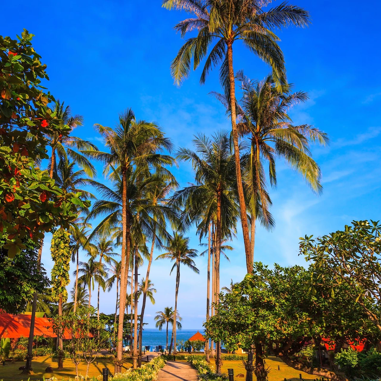 <h1>泰國國際醫院附近住宿飯店推薦</h1>