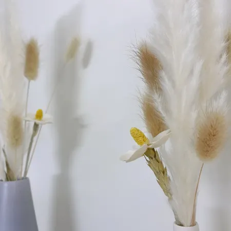 Shanghai Ellen Homestay