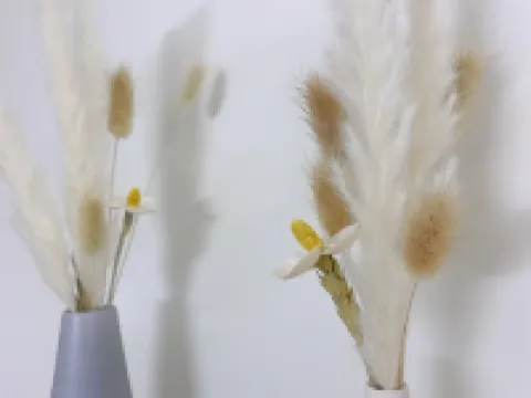 Shanghai Ellen Homestay