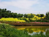 Atour Hotel Tianjin Eco-City Haiboguan - Ocean View