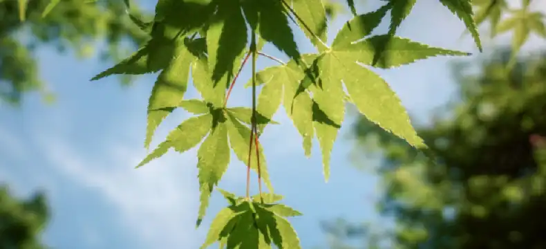 โรงแรมเดย์ อินน์ บาย วินด์แฮมในSutton