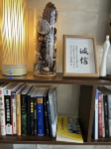 Jiuhuashan yayuan villa