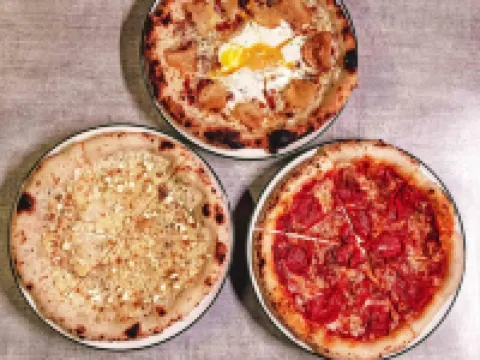 The Funny Lion - Puerto Princesa Hotels in Palawan