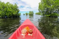 The Funny Lion - Puerto Princesa