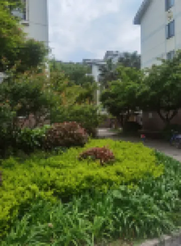 Putuoshan Ruiqi Yinji Mountain House