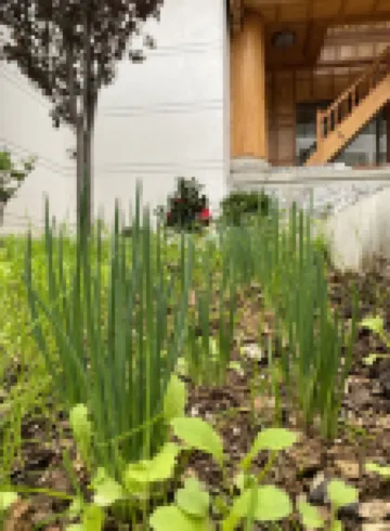 香格里拉央廓別院民宿 鄰近普達措國家公園的酒店