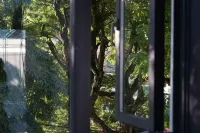 Yunqichu Homestay (Wumeng Grass Plain) - Mountain view