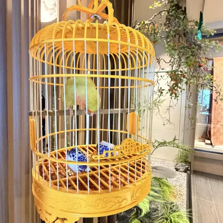 Jiuzhou Fangyuan Hotel(Yichang Wanda Binjiang Store)