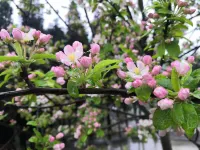 Qiangzu Castle Hotel Hotels near Nanbao Mountain