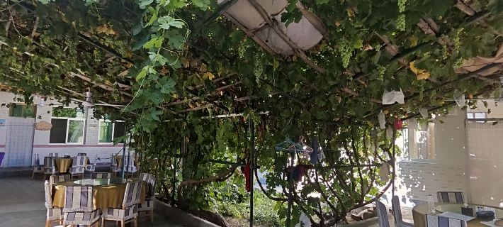 Huanghe Shilin Cuifang Farm Courtyard Hotels in Jingtai