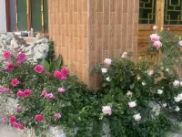 Yueziju Homestay Hotels in Xinhua County