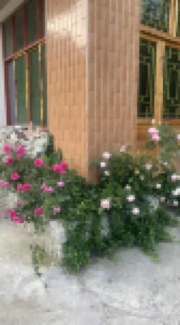 Yueziju Homestay Hotels near Ziquejie Terraces