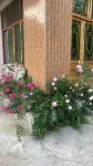 Yueziju Homestay