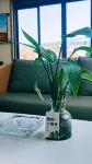 Home Inn Huayi (Longshan Road Bus Station)