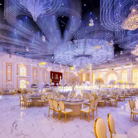 Vienna Hotel (Mengcun Tuanjie Road Party School Branch)