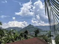 Dongnan Garden Homestay - Mountain view